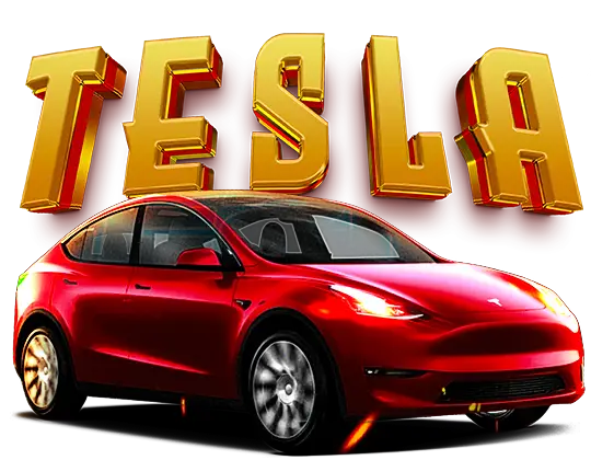 Mandarin Palace promotion get a change to win tesla car